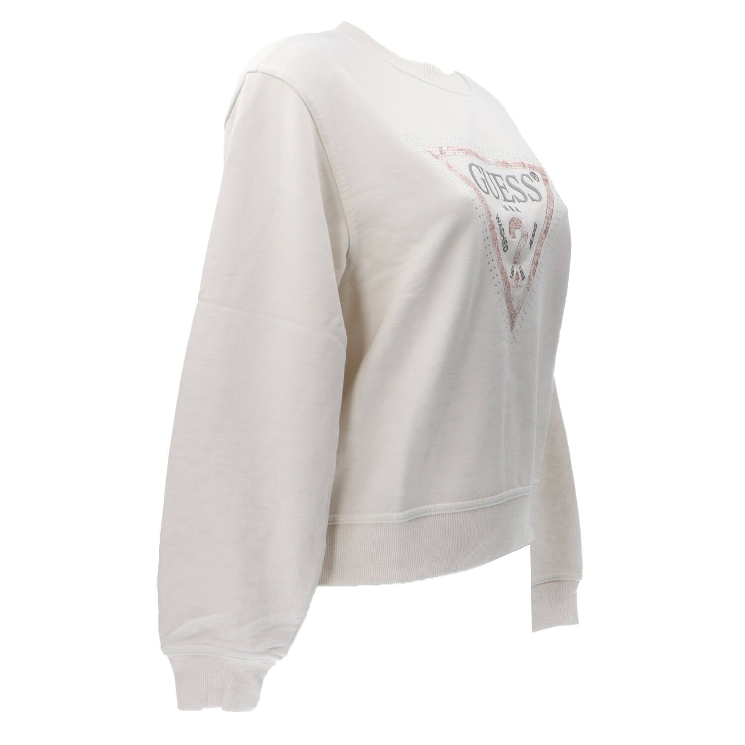 Felpe CN PYTHON TRIANGLE LOGO FLECEE Off White_62855.jpg