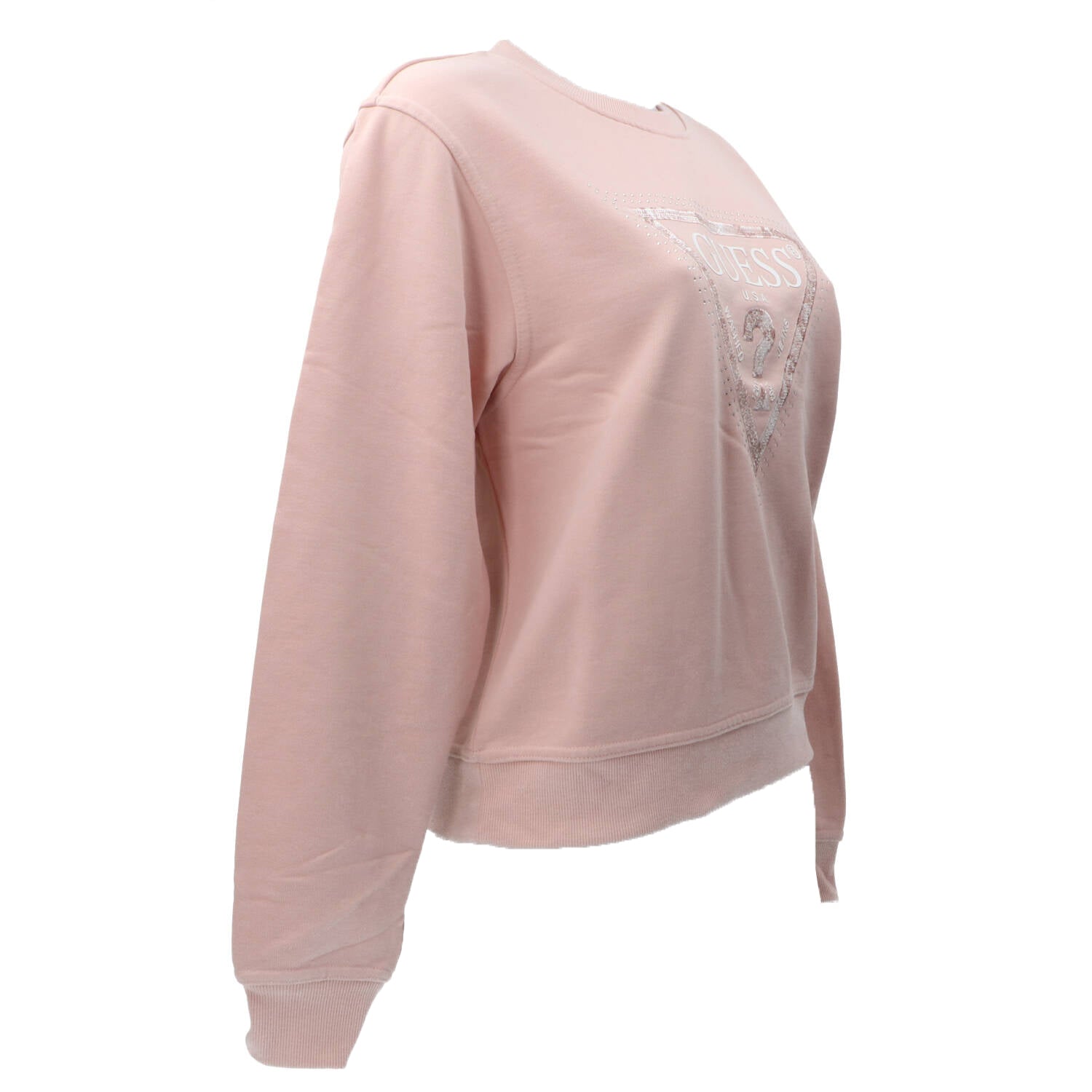 Felpe CN PYTHON TRIANGLE LOGO FLECEE Rosa_62858.jpg