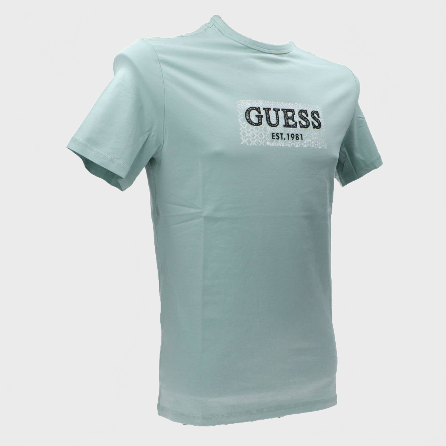 T-shirt SS CN BOX TEE Verde menta_62057.jpg