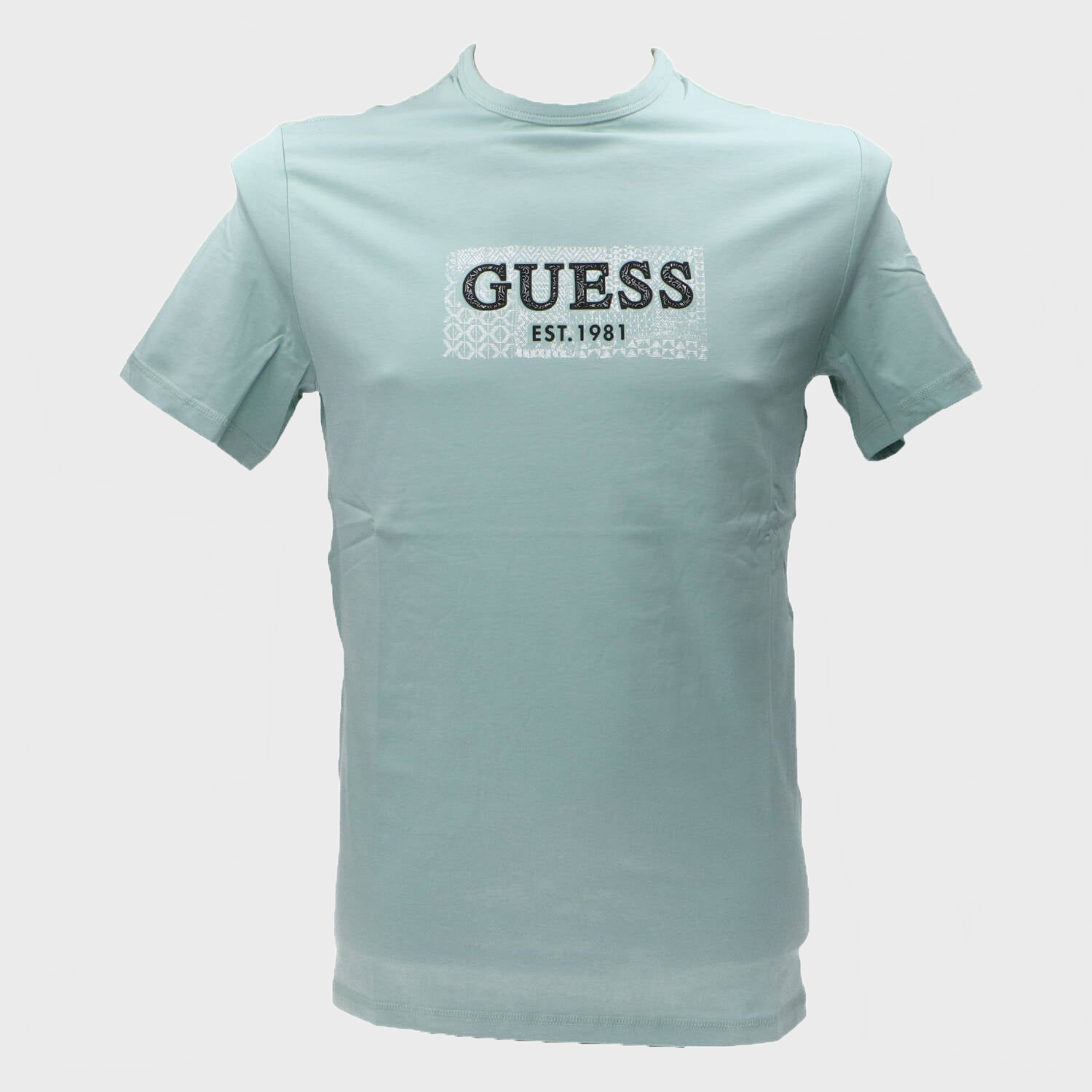 T-shirt SS CN BOX TEE Verde menta_62056.jpg